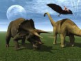 /album/dinosaurios/images-6-jpg/
